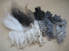 Tvättad ull av olika typer